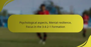 Psychological aspects, Mental resilience, Focus in the 3-4-2-1 Formation